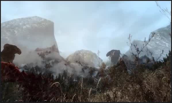 Dovahkiin And Amelica