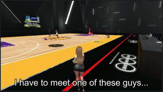 The Groupie Nba Gold Digger