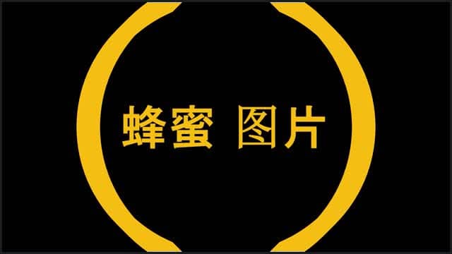 The Pizza Incident 2