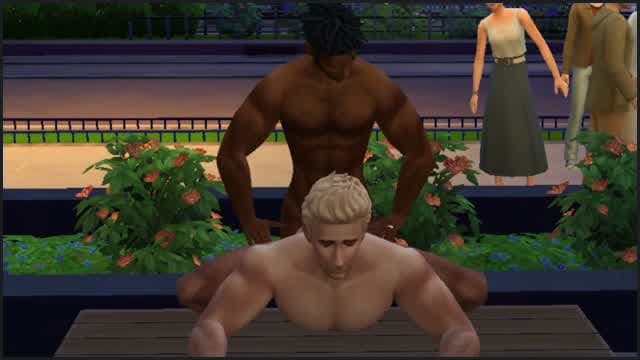 The Sims 4 Compilation